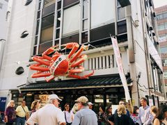 -蟹道乐(道顿堀本店)