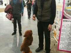 -东浩兰生上海世博展览馆