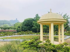 -南山植物园