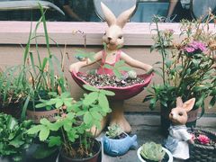 -后海16号·北京私房菜