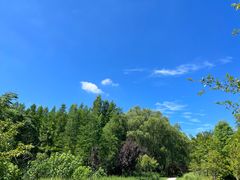 -昆山城市生态森林公园