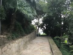 -泰州凤城河风景区-泰山公园