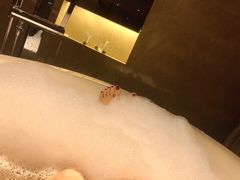 -广交会威斯汀酒店