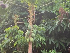 -惠州惠阳丽景国际花园酒店(市政广场店)