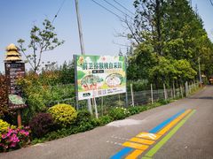 -上海长兴岛郊野公园