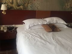 -天鹅湖大酒店