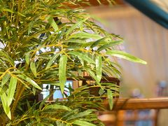 -陶然居·重庆菜(解放碑店)