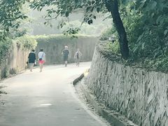 -金鸡山公园