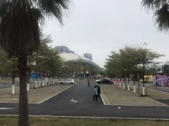 -嘉庚体育馆
