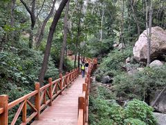 -大岭沟猕猴桃谷风景区