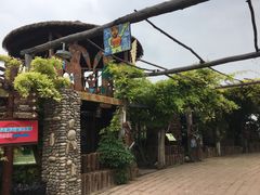 -呀路古热带植物园