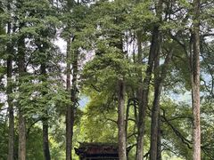 -青城山