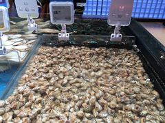 -盒马鲜生(曜一城店)