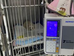 -莘程宠物医院(金山店)