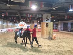 -李振强马术运动推广中心(南城店)