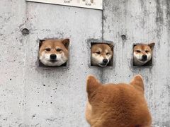 -三味书店(桥东岸路店)