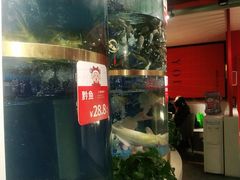 -蜀滋香鲜鱼美蛙火锅(339店)