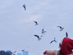 -蠡湖大桥公园