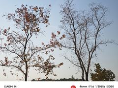 -虎丘湿地公园