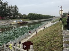 -赵州桥景区