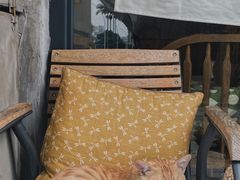 -251#coffee roasters(沿河东路店)