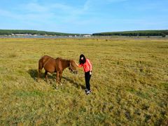 -塞罕坝国家级自然保护区