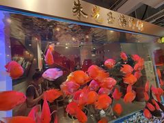 -朱光玉火锅馆(正弘城店)