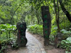 -桂林古东瀑布景区