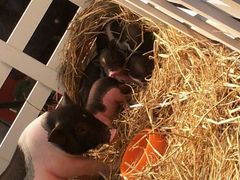 android_upload_pic-万达广场(南京江宁店)