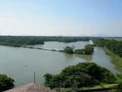 -大湾区中央湿地公园
