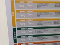 -宠颐生宠物医院外科·内科·皮肤科·影像科(石龙店)