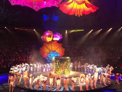 -拉斯维加斯永利酒店