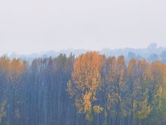-西安浐灞国家湿地公园