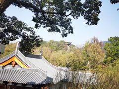 -台州府城(东湖)