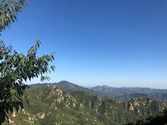-大岭沟猕猴桃谷风景区