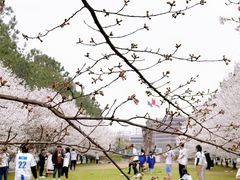 -同济大学(嘉定校区)