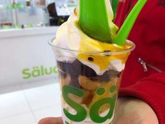 -Salud撒露欧洲冻酸奶(蓝色港湾店)