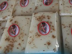 -仁昌顺(震泽店)