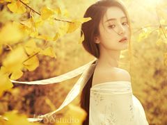 -龙湖·春森彼岸