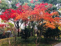 -徐家汇源景区-衡山公园
