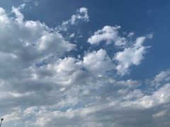 -东海章鱼馆(恒瑞街店)