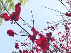 -西北湖绿化广场