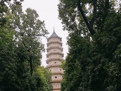 -灵谷景区