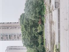-玉山公园