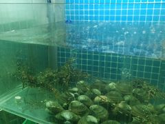 -白仁仔· 活烤海鲜 宵夜(豫园店)