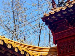 -钦赐仰殿道观