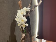-神奈川·小京