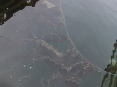 -海驴岛(荣成市)