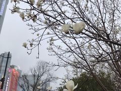 -御花园·粤菜·海鲜火锅(中山公园店)