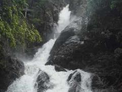 -九龙江国家森林公园